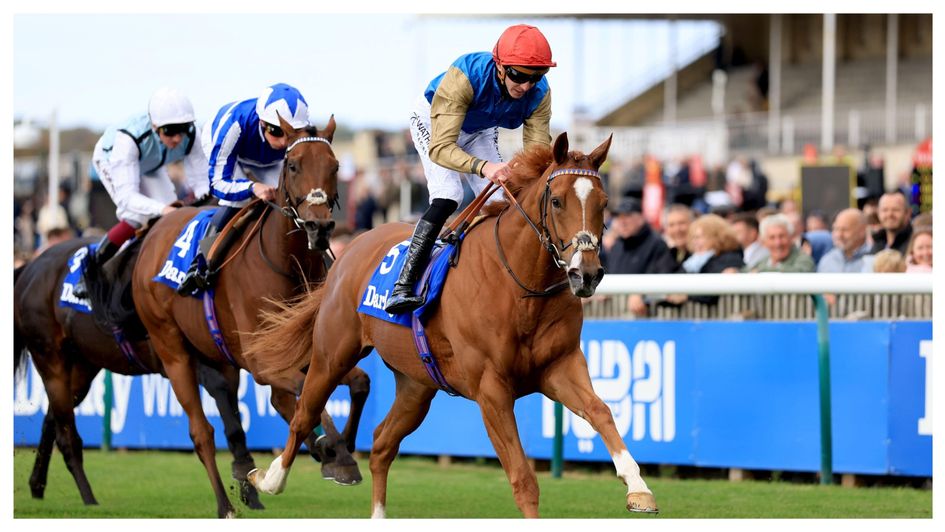 Humidity wins the Darley Stakes