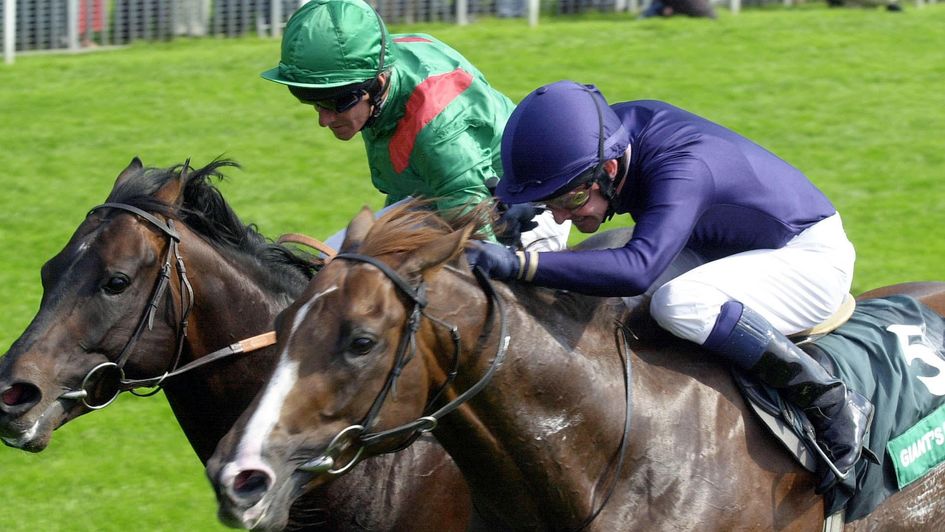 Giant's Causeway (blue) gets the better of another thrilling tussle with Kalanisi