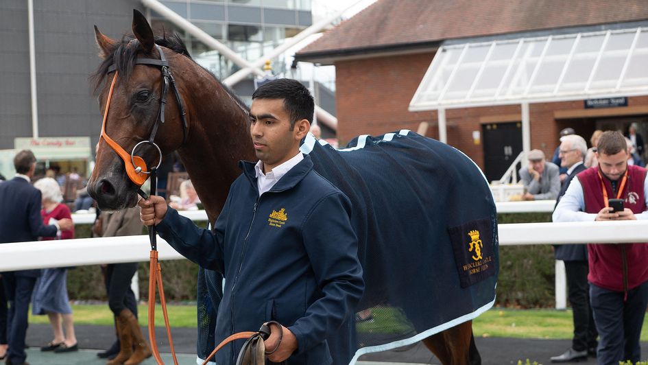 Pearl River pictured at Newbury