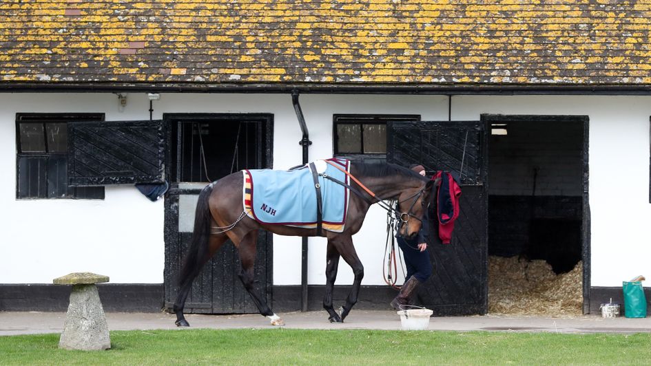 Altior pictured at Seven Barrows