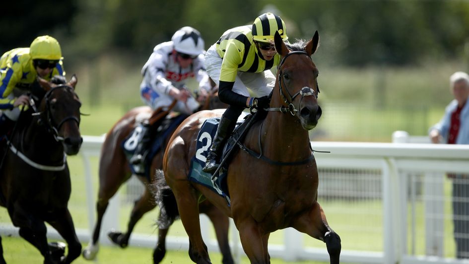 Bahrain Pride impresses at Ripon