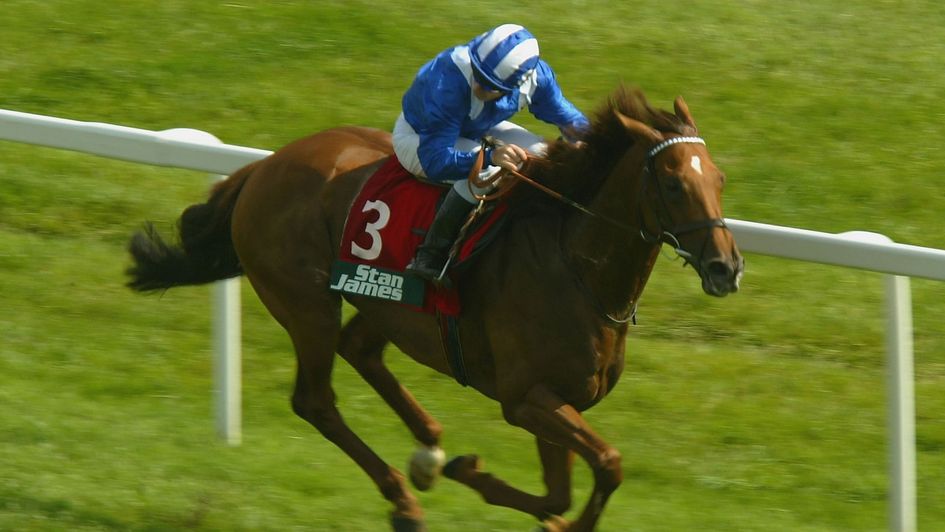 Mubtaker winning one of his three Geoffrey Freer Stakes