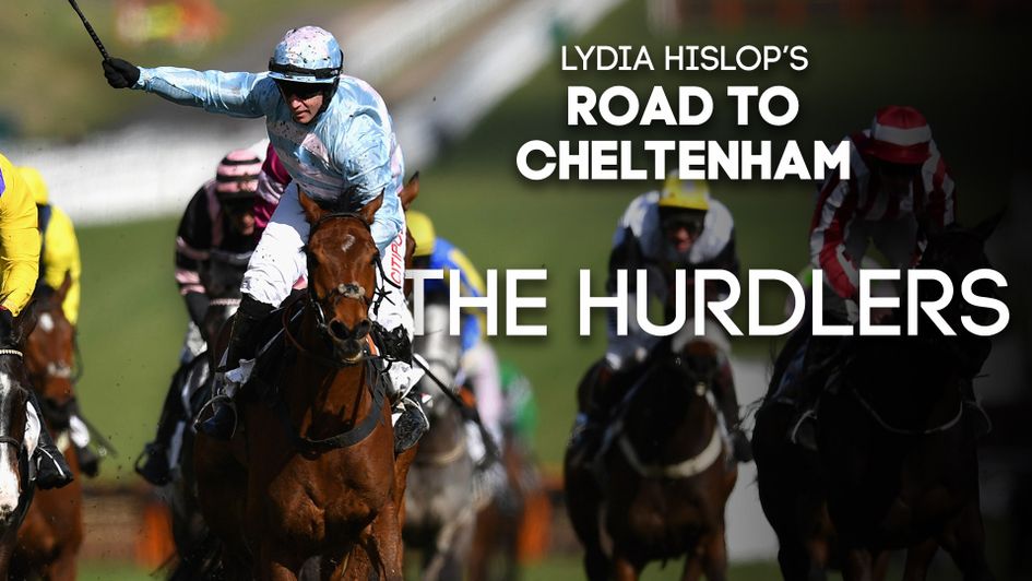 Summerville Boy is on the Champion Hurdle trail