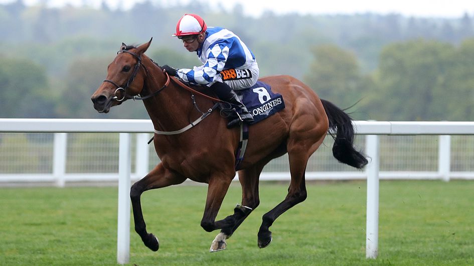 Sweet Selection wins the 2017 Sagaro Stakes