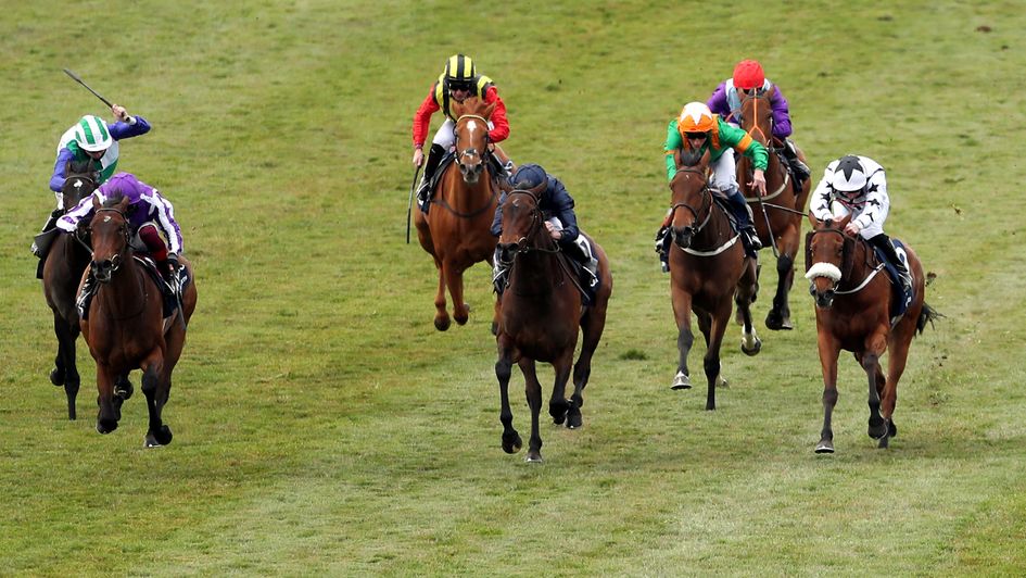 Fev Rover (right) stuck to her task gallantly in the Guineas