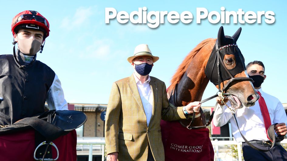 Search For A Song pictured with connections after the Irish St. Leger