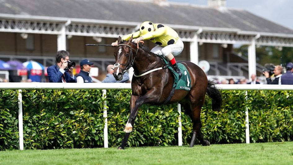 Cold Case wins at Doncaster