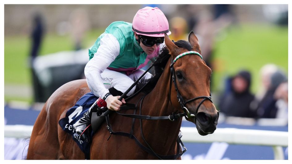 Legacy Link wins the Musidora