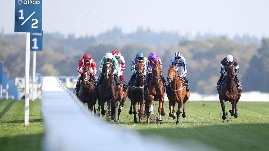 Ascot - confirmed switch to inner track
