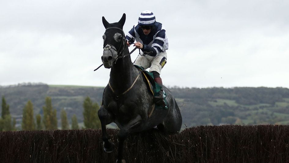 Al Dancer: interesting contender in the Paddy Power Gold Cup