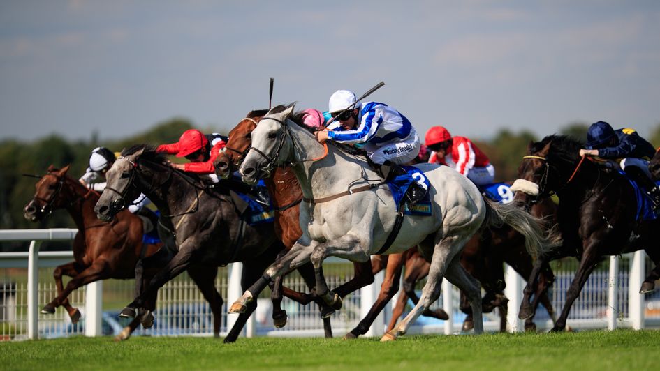 Thundering Blue (grey) on the way to victory at Sandown