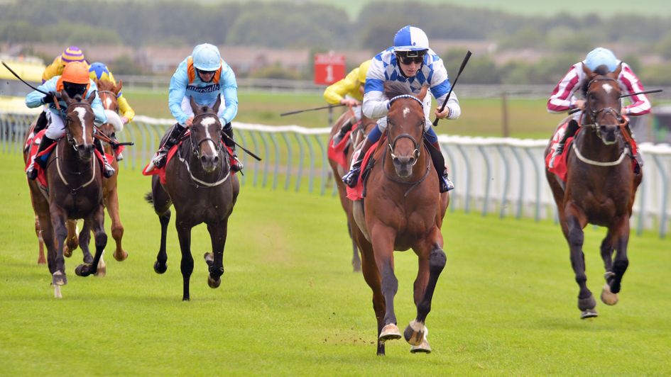 Saint Lawrence is a clear-cut winner