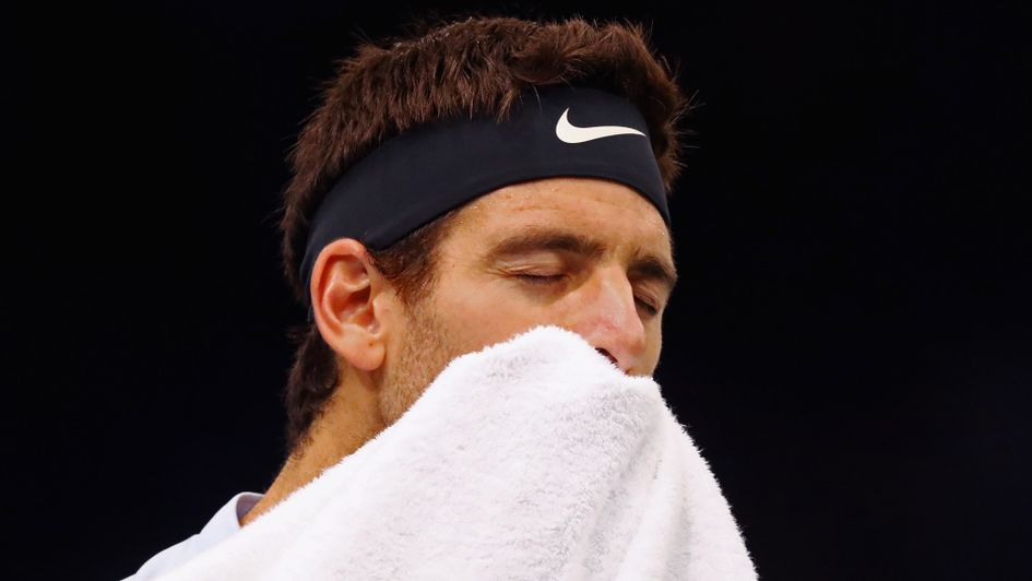 Juan Martin Del Potro: Fell agonisingly close in ATP Finals quest