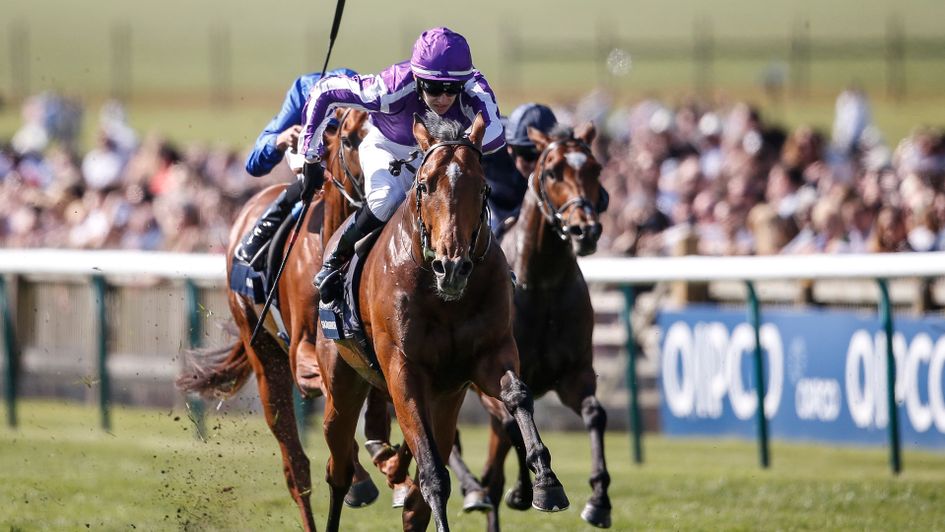 Saxon Warrior wins the QIPCO 2000 Guineas