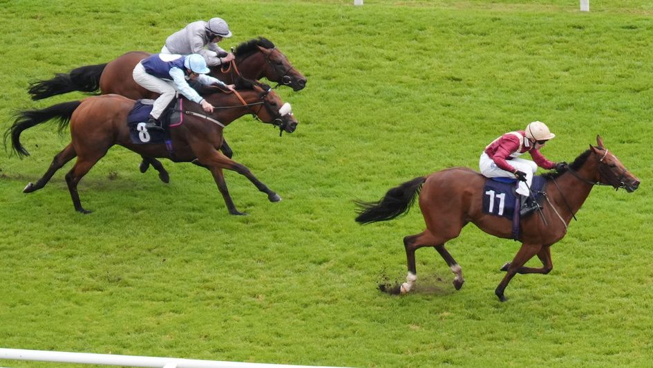 Rage Of Bambi is away and clear at Newbury