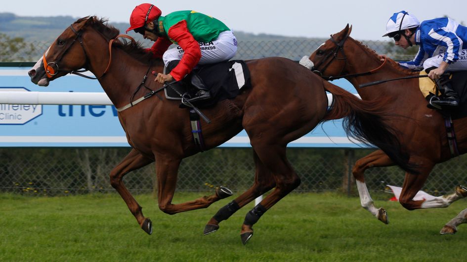 Billesdon Brook gets up to win