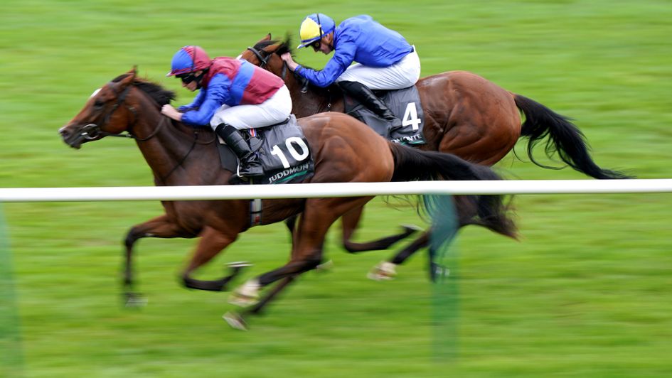 Tenebrism sweeps past Flotus