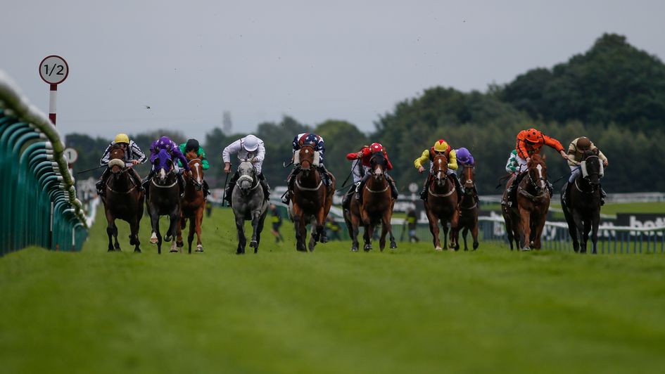 Action from Haydock