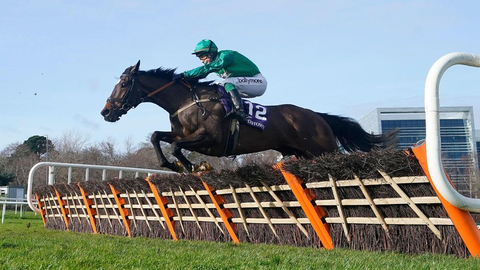 Brucio clears the last at Leopardstown