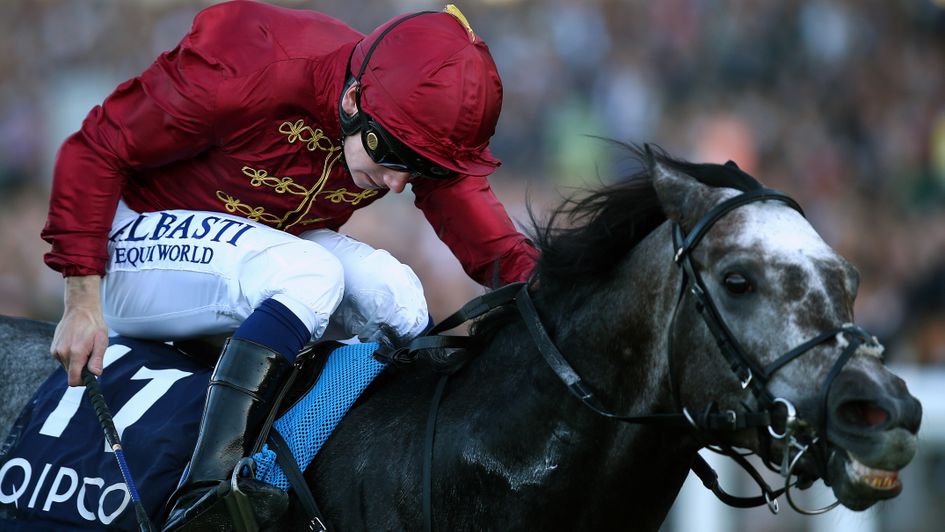 Roaring Lion - could bid to sign off in style in America