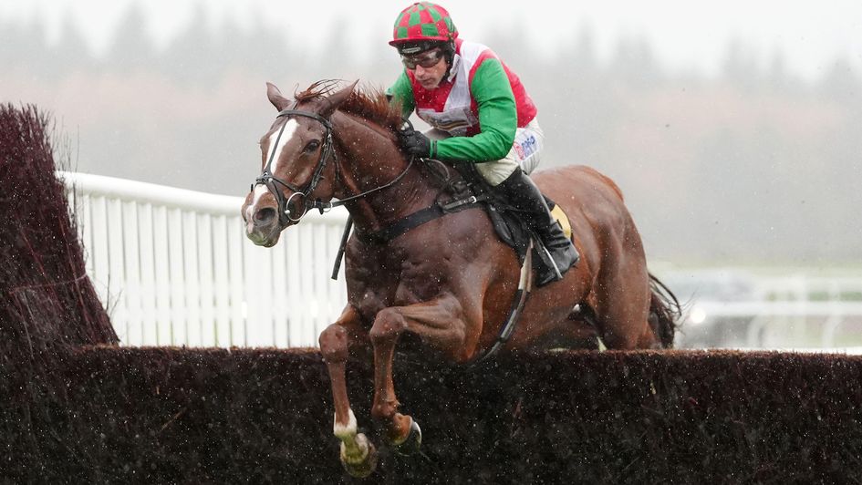Doyen Quest, ridden by Harry Skelton