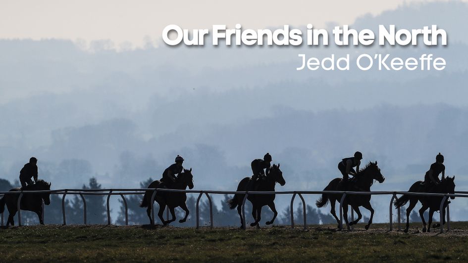 Horse on the gallops at Middleham