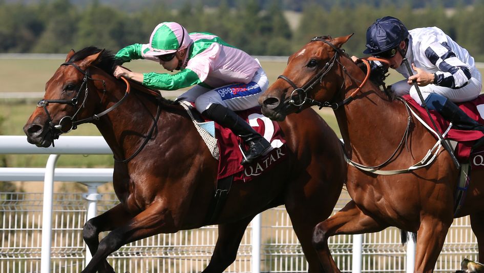 Duke Of Hazzard in winning action