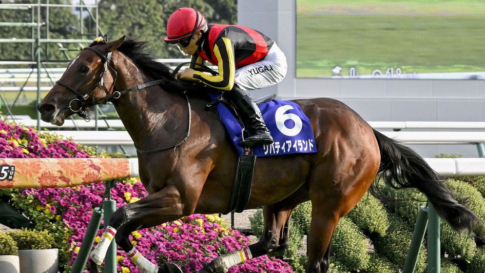 Liberty Island in action