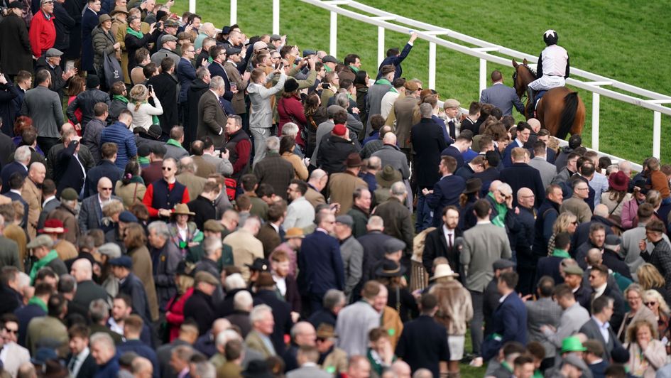 Bob Olinger returns after a dramatic Cheltenham race