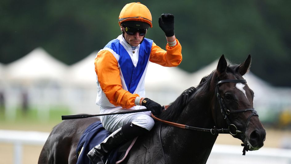 Noble Champion - heads to Lennox