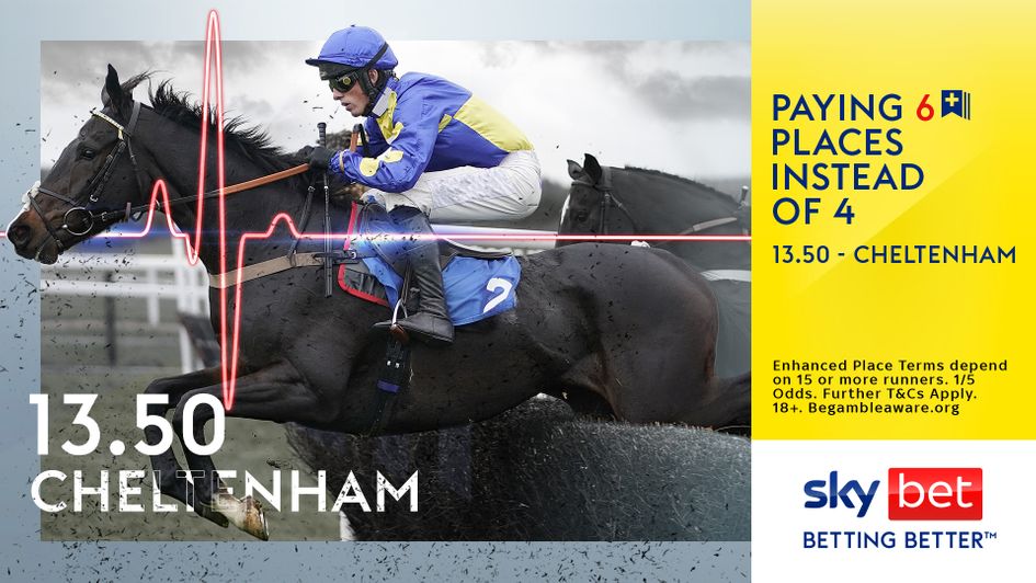 Check out Sky Bet's big Extra Place offer for Cheltenham
