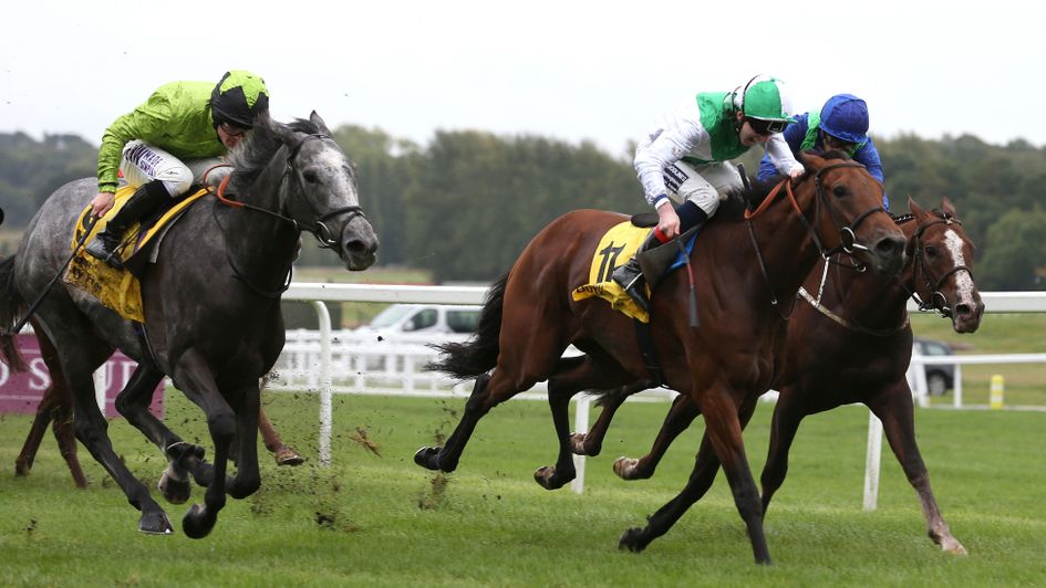 Buzz (left) on his way to victory at Newbury