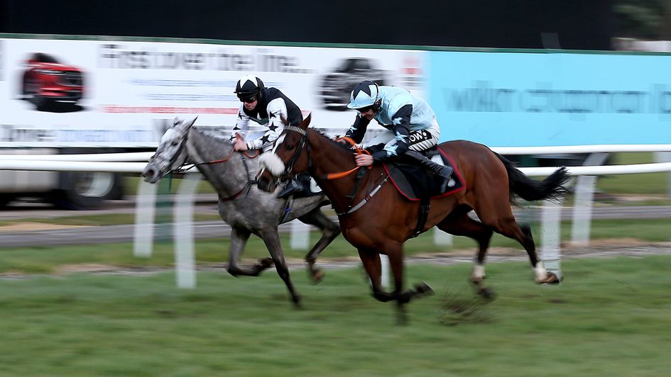 Martello Sky (left) is entered in the Dawn Run