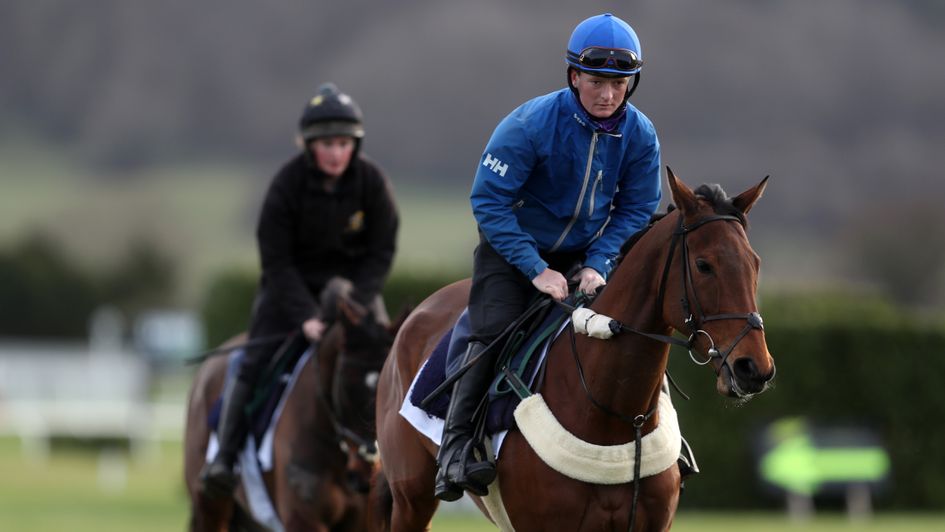 Honeysuckle warming up for the Unibet Champion Hurdle at Cheltenham