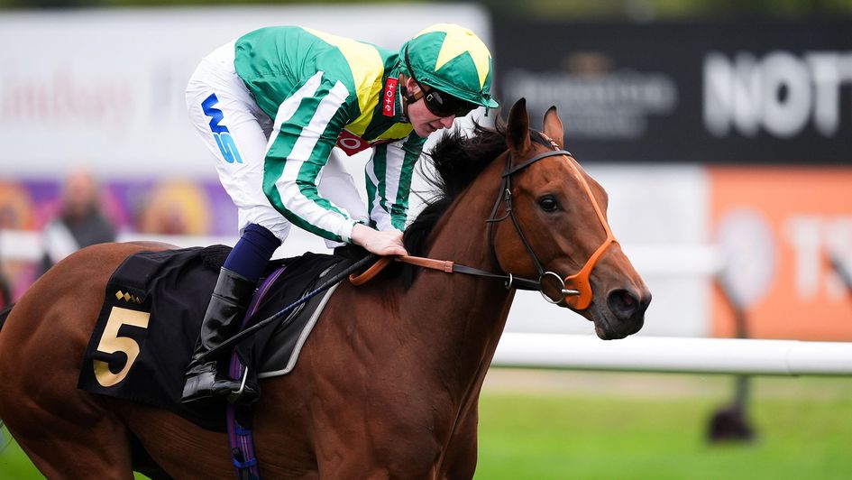 Joe Leavy wins aboard Assaranca at Nottingham