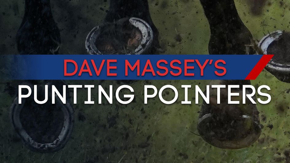 Get the latest tips from our Punting Pointers team