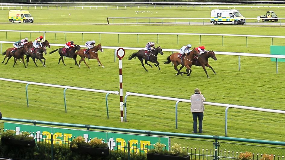 Cold Stare is touched off at Haydock