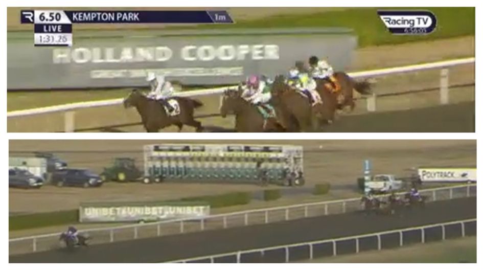 Najidi Storm (top) and Fortitudine impress on debut