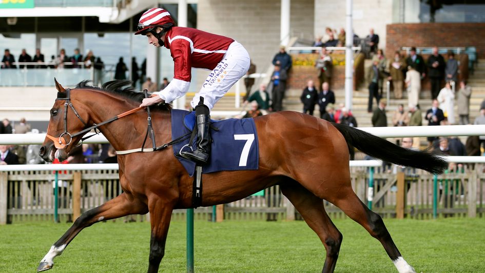 Salouen: Can run well in Derby