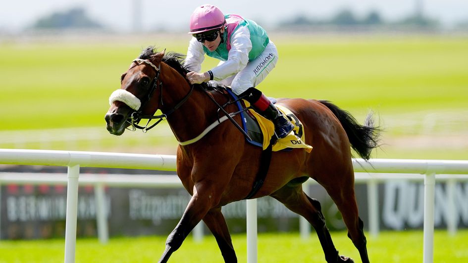 Purview in fine form under Colin Keane