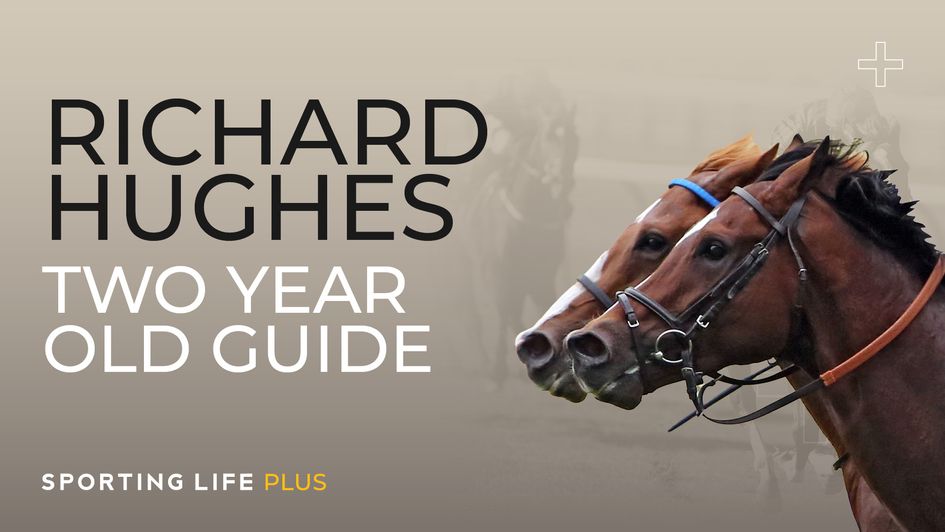 Richard Hughes Two-Year-Old Guide
