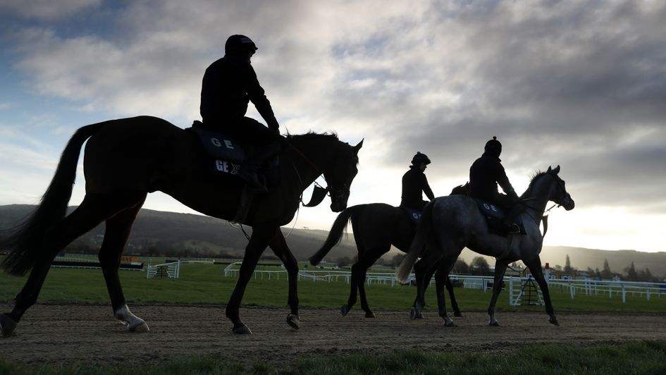 Gold Cup morning at Cheltenham
