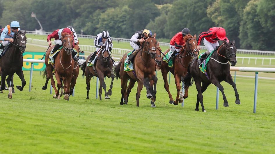 Wootton'Sun wins the Old Newton Cup (Grossick Photography/The Jockey Club)