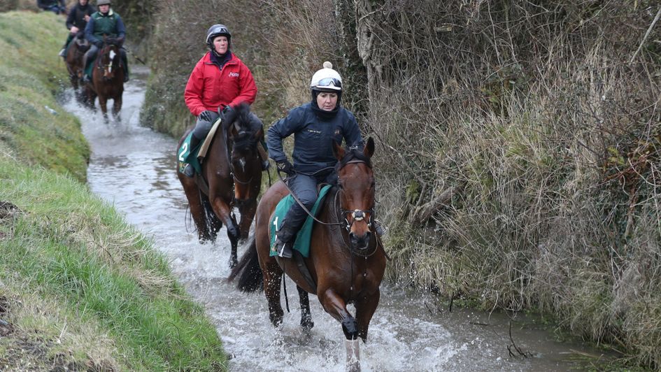 Un De Sceaux is followed by Douvan