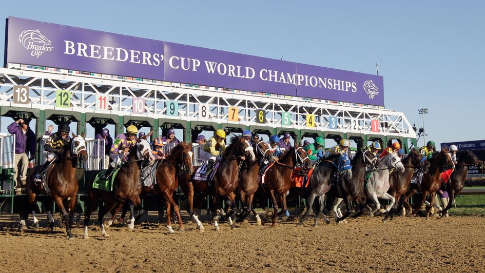 Get all the tips for the Breeders' Cup