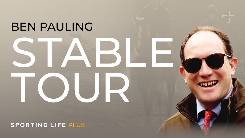 Latest Cheltenham Festival Stable Tour