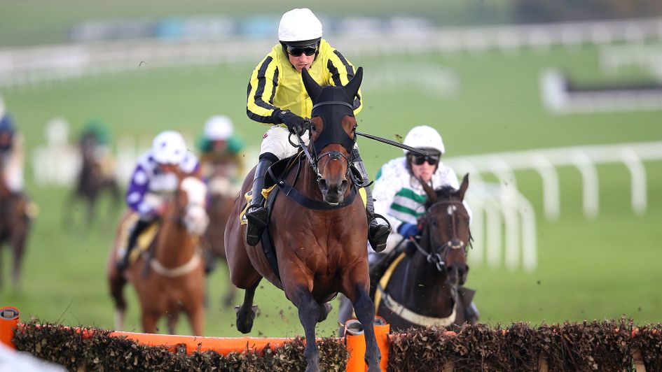 Allmankind wins at Cheltenham