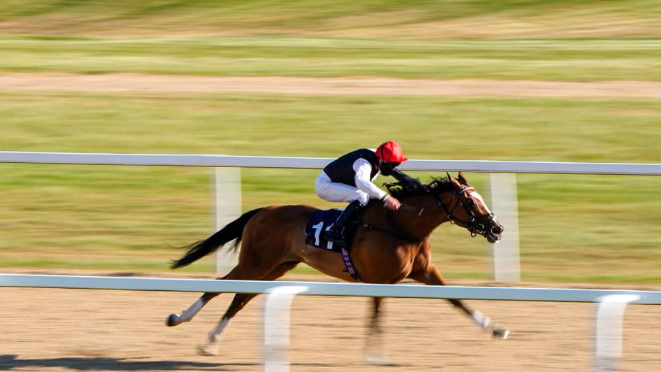 Franky Darling impresses at Newcastle