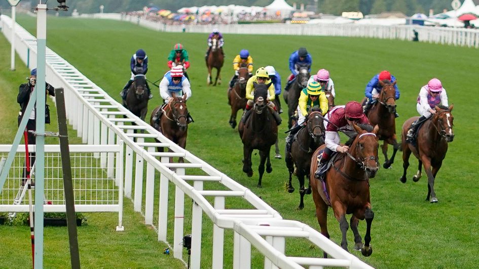 Missed The Cut is an impressive winner