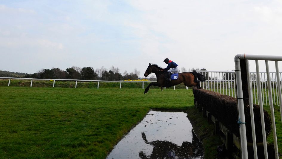The water jump at Exeter Racecourse